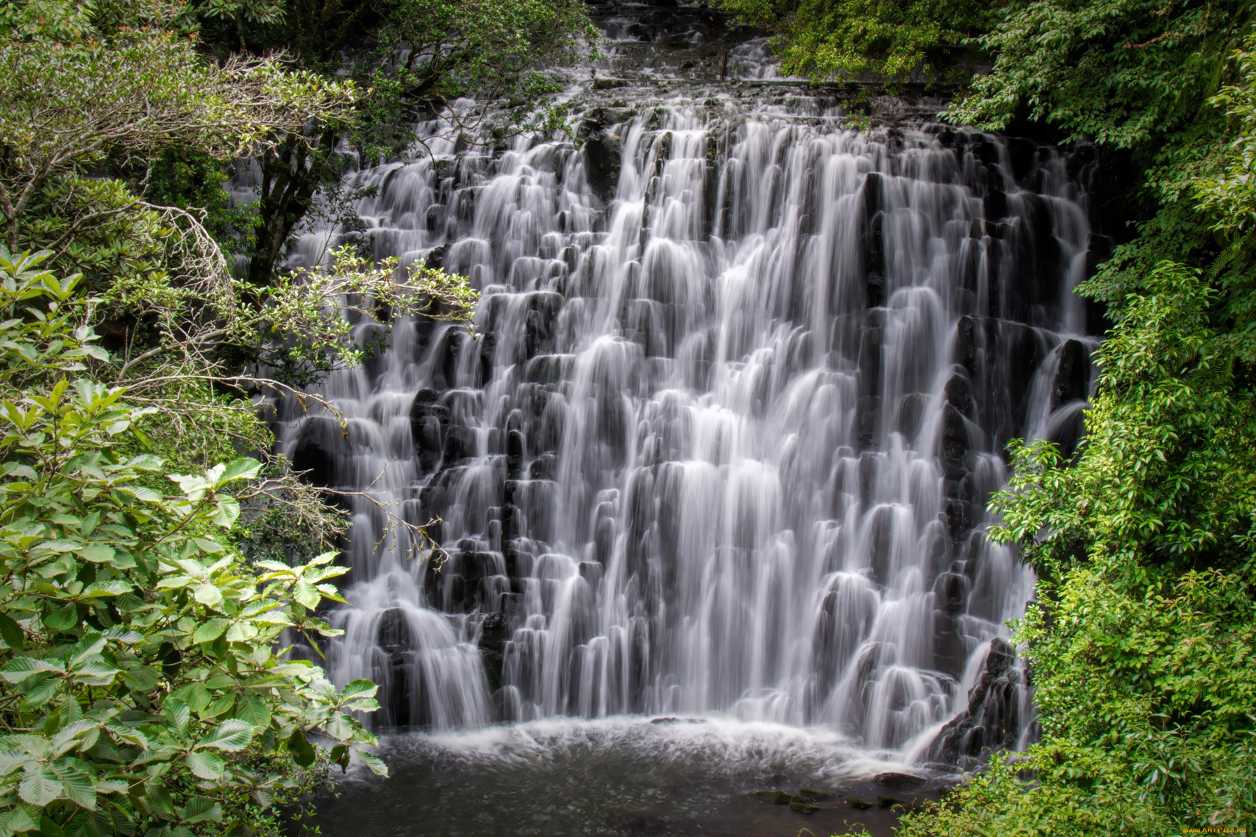 elephant falls, india, , , elephant, falls